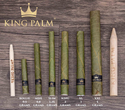 King Palm King Rolls 5 Pack - size comparison.