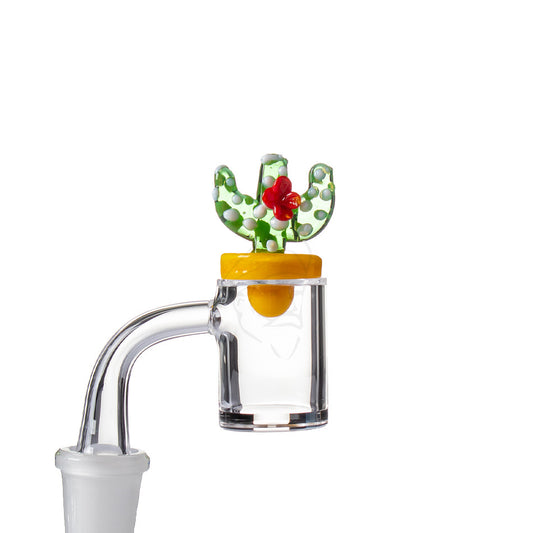 Glass Cactus Carb Cap - example of use.
*Quartz banger NOT included.*