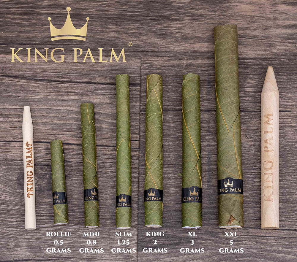 King Palm Rollie Rolls 25 Pack - size comparison.